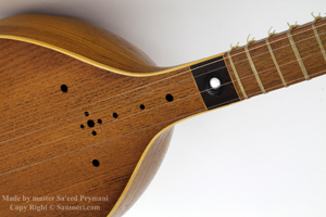 Persische Setar der Referenzklasse Kaufen